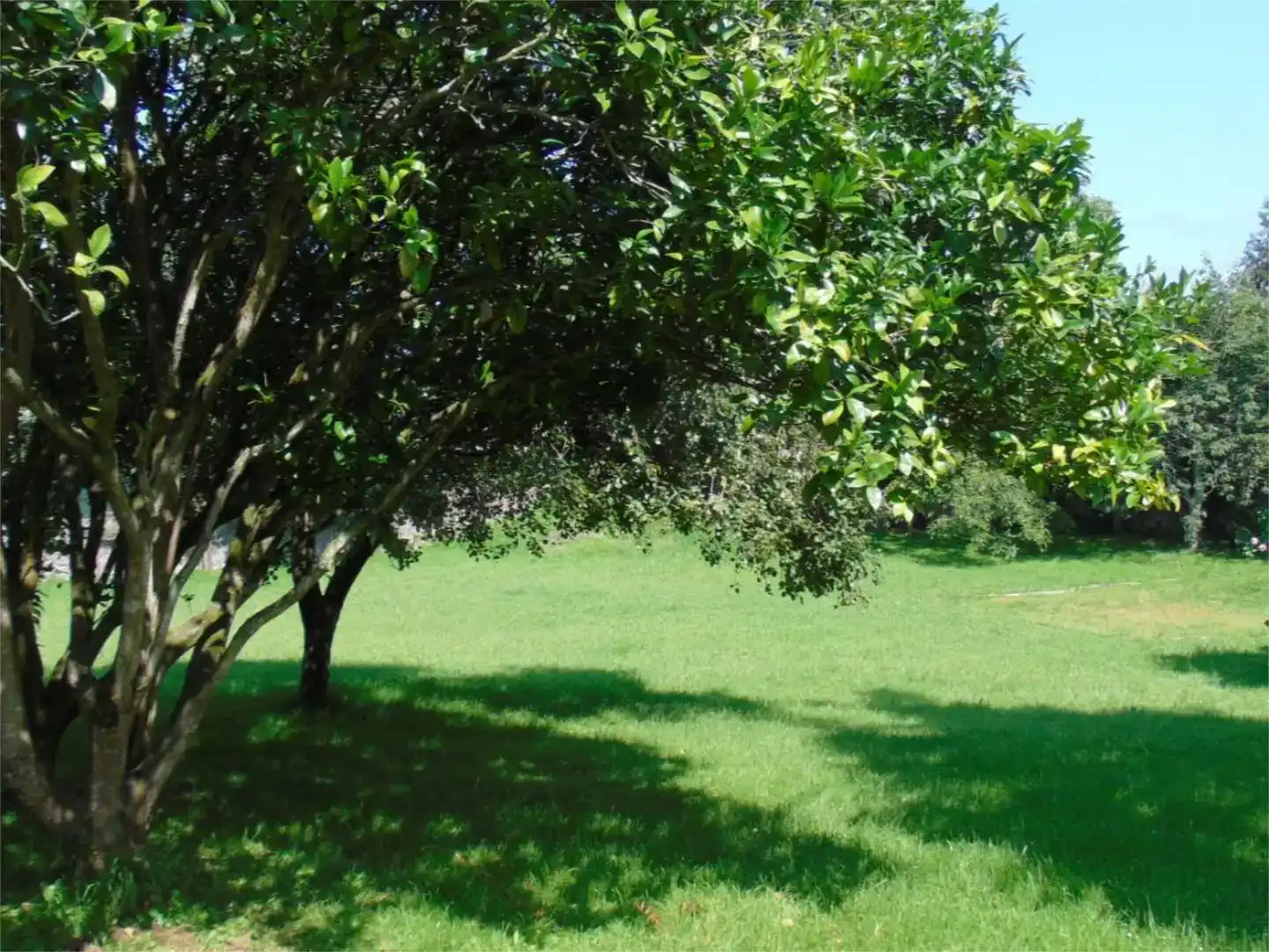 Casa o chalet en venta en Llanes con Balcón