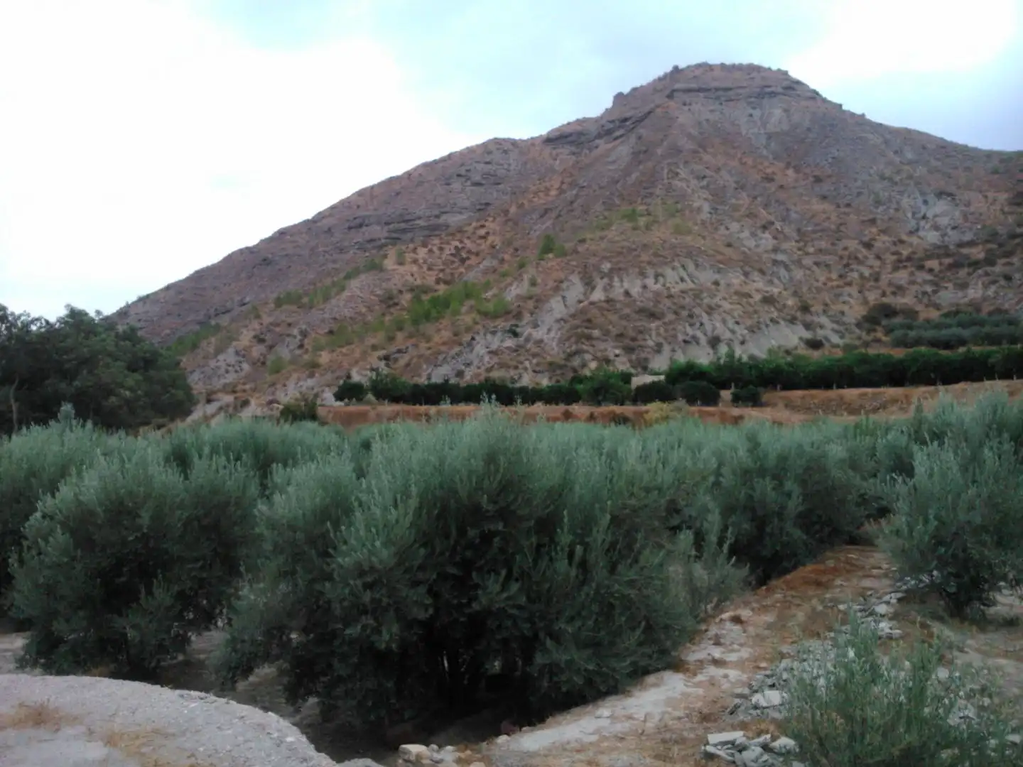Garten von Grundstücke zum Verkauf in Terque