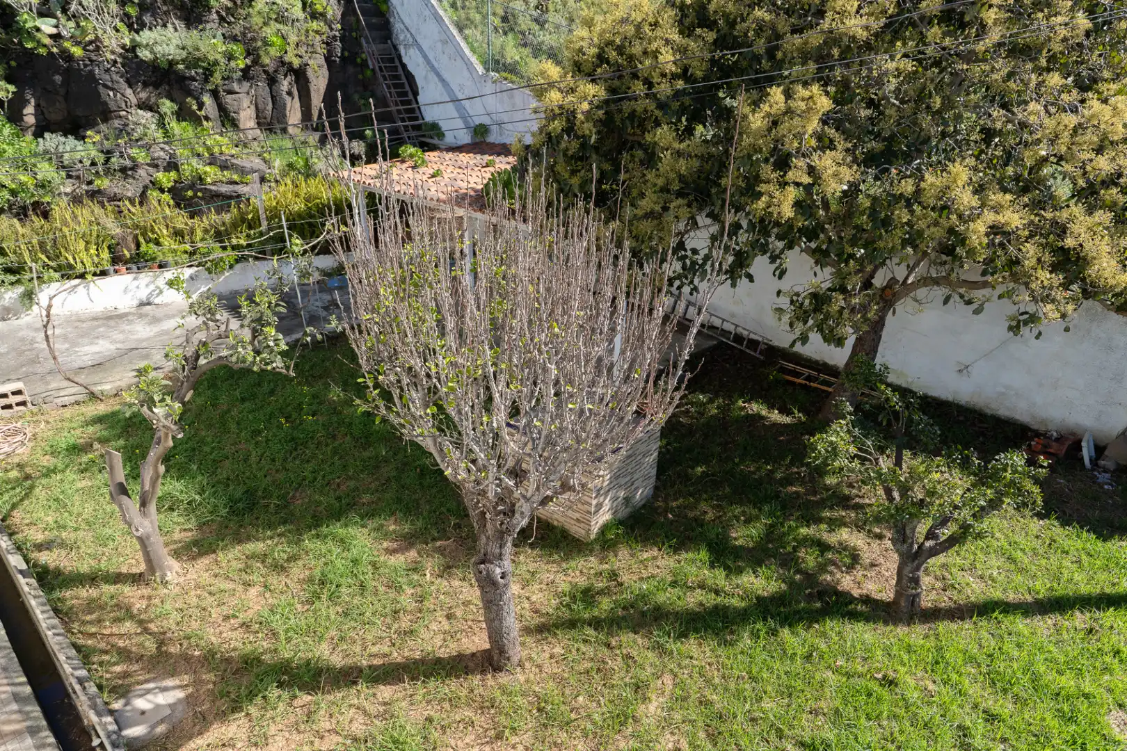 Jardí de Casa o xalet en venda en San Cristóbal de la Laguna amb Jardí privat i Terrassa