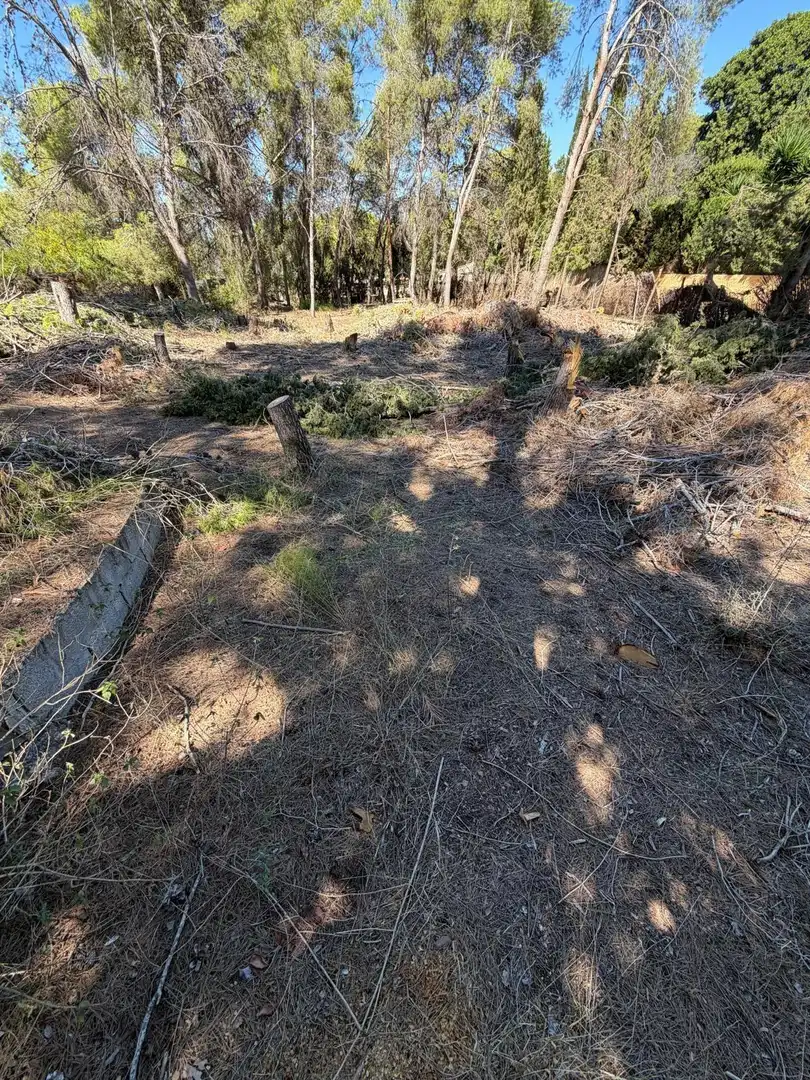Terreno residencial en venta en Urbanizacion Urbanización Tancat del Alter, imagen 19