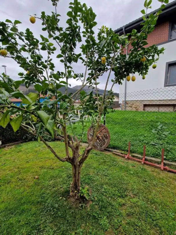 Detached homes for sale in Areatza  with Heating, Private garden and Storage room