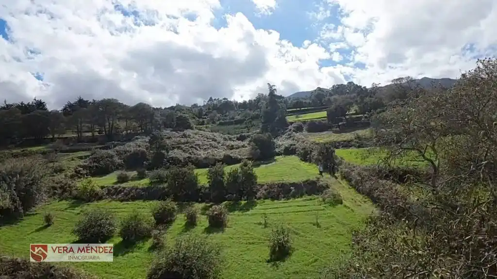 Country house for sale in El Sauzal, imagen 15