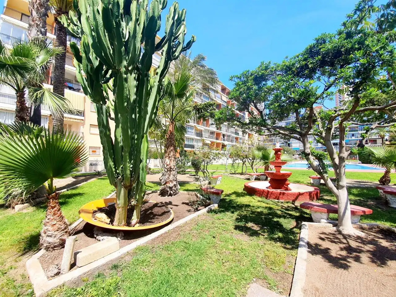 Jardín de Dúplex de alquiler en Villajoyosa / La Vila Joiosa con Piscina y Amueblado