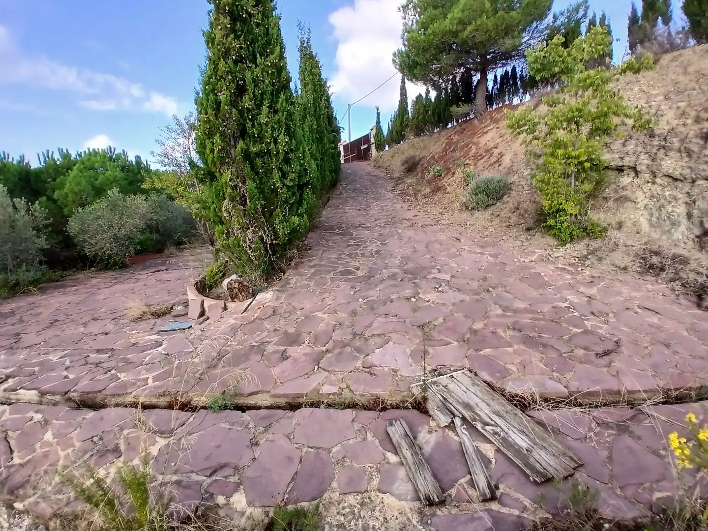 Terrain rustique à vendre à Avinguda Mirador 57, imagen 6