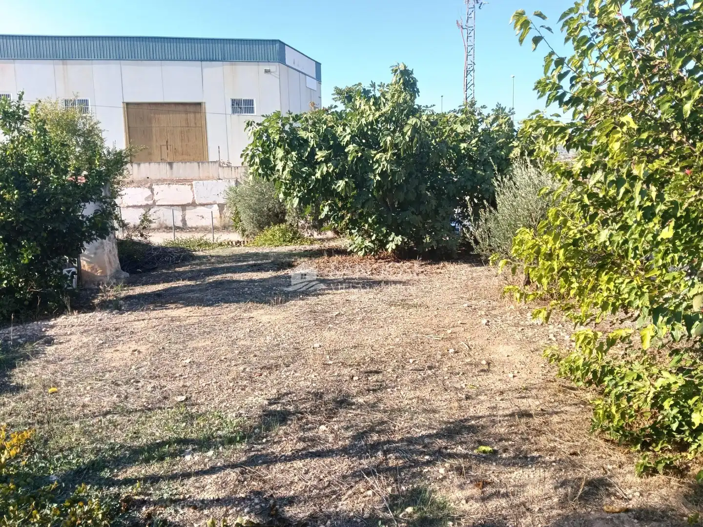 Casa o chalet en venta en La Romana, Alicante