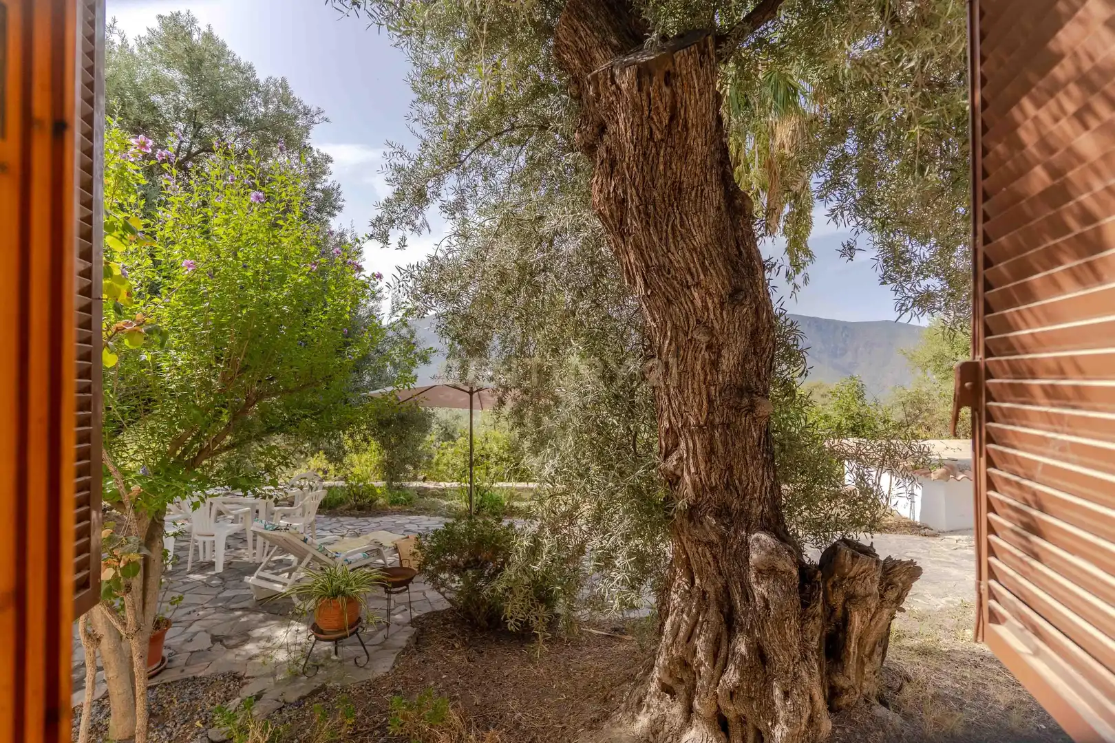 Garden of Houses for sale in Órgiva  with Private garden and Swimming Pool