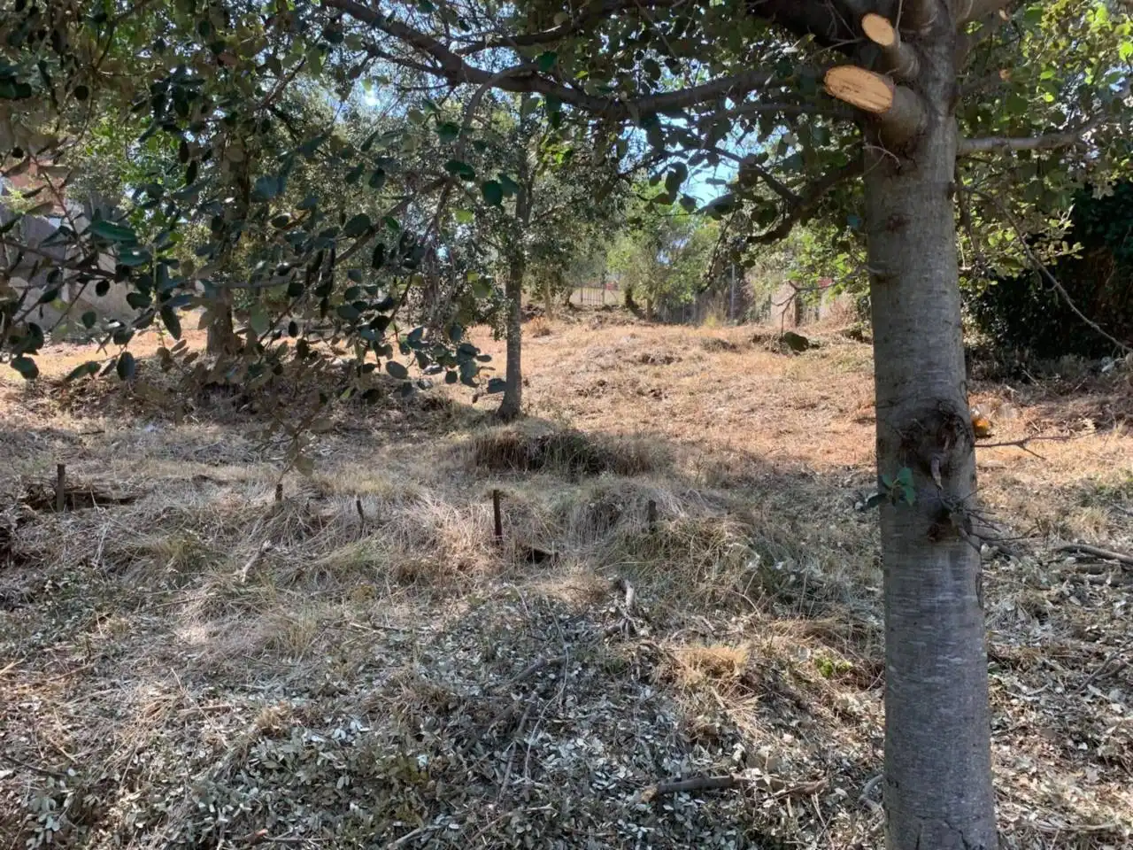 Rustikales Grundstück zum Verkauf in Castellnou - Can Mir - Can Solà, imagen 9