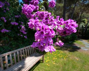 Jardí de Casa o xalet en venda en  Barcelona Capital amb Aire condicionat, Terrassa i Balcó