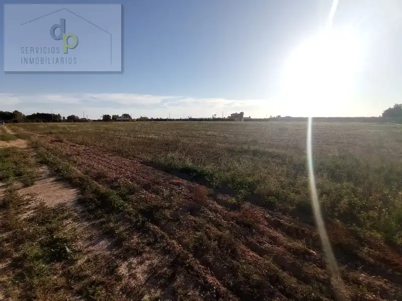 Rural land for sale in Camino de Las Bayas 77, imagen 2