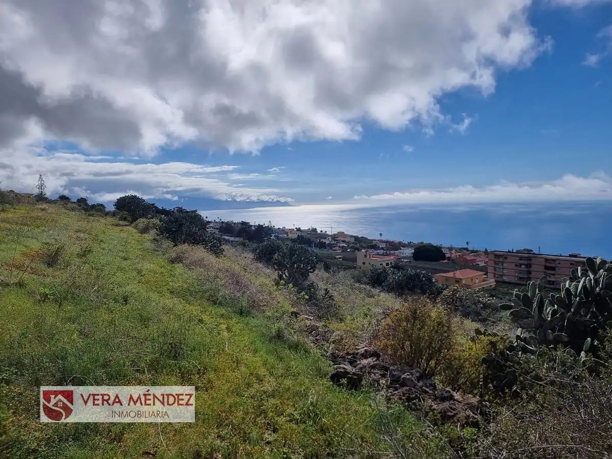 Finca rústica en venta en Tacoronte