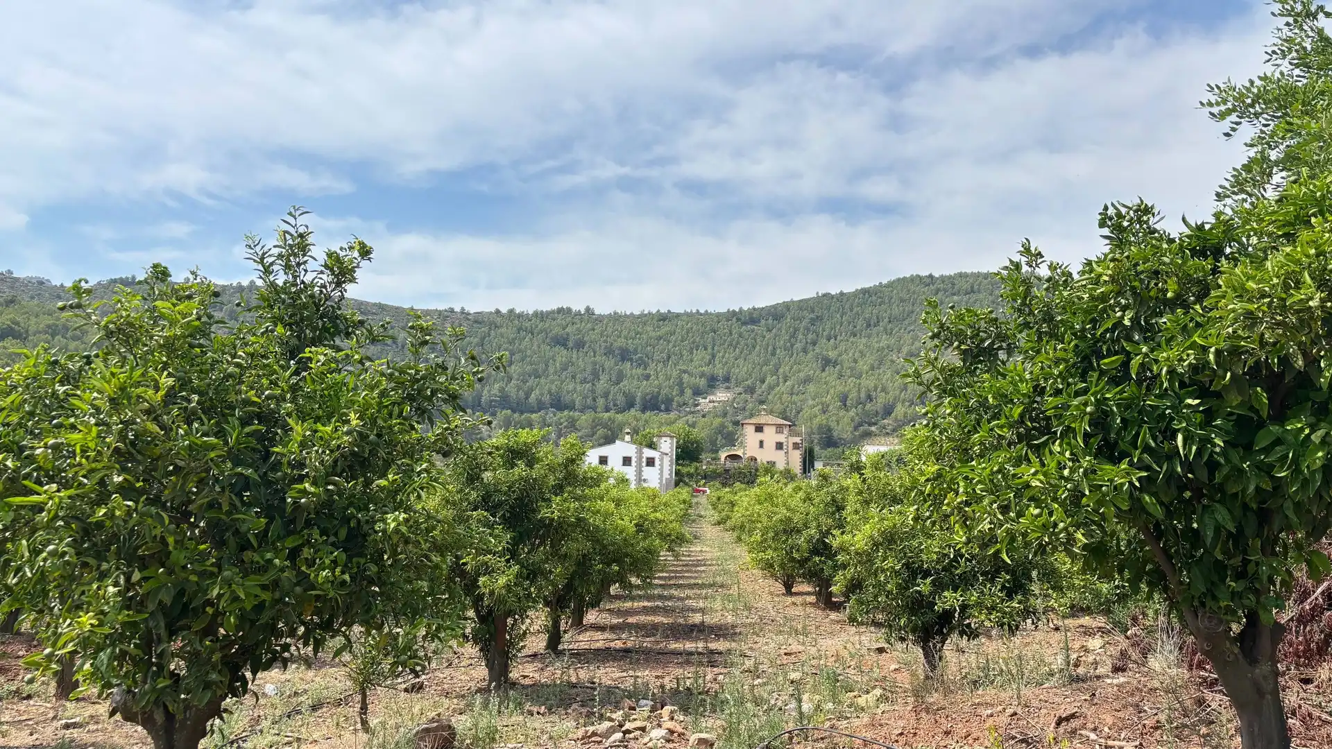Villa avec piscine à vendre à Xaló, imagen 5