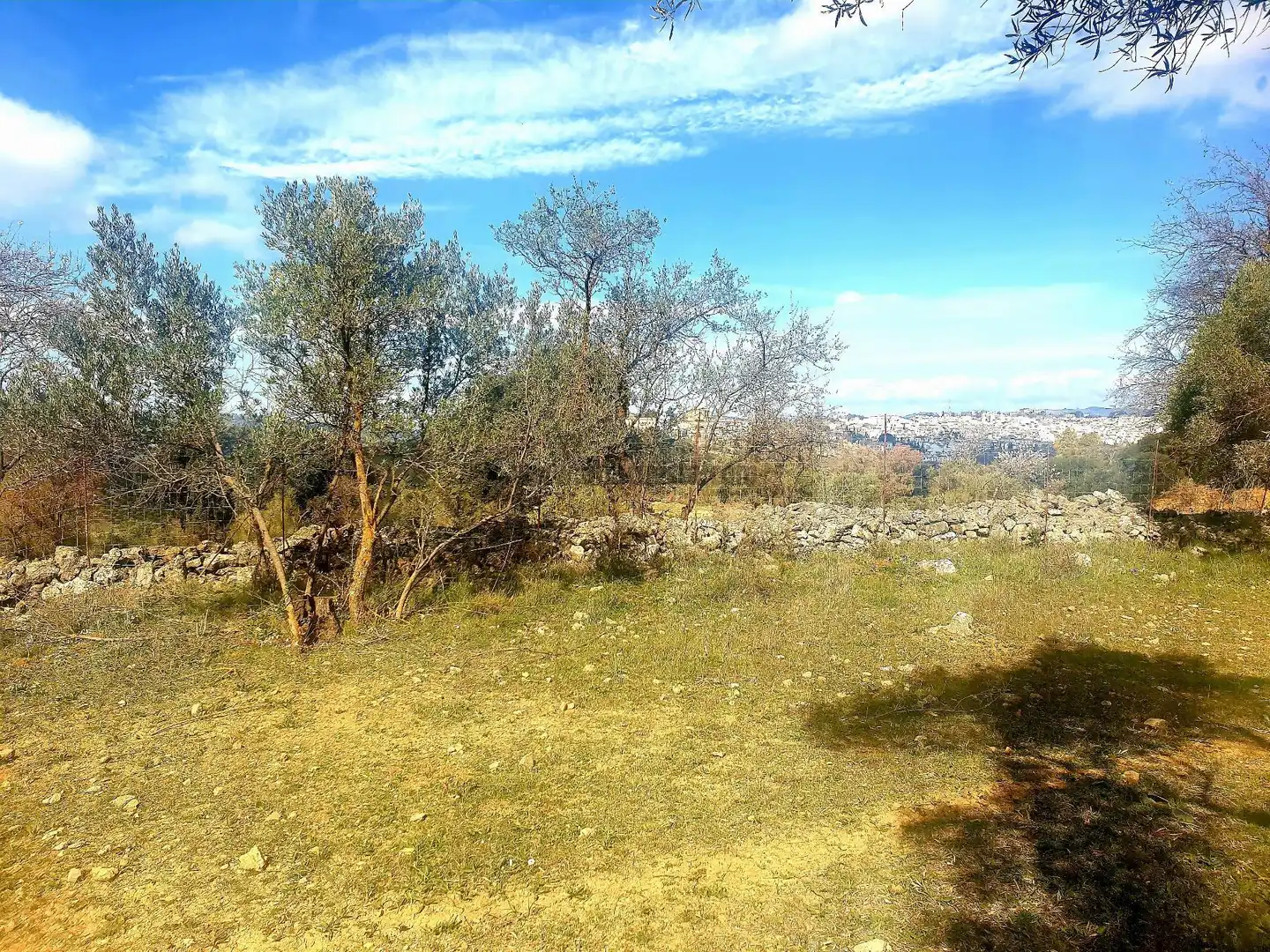 Terrenys i solars en venda a La Planilla, Cra. A-6300, imagen 17