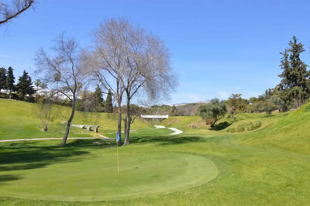 Vista exterior de Casa adosada en venta en Marbella con Jardín privado y Terraza