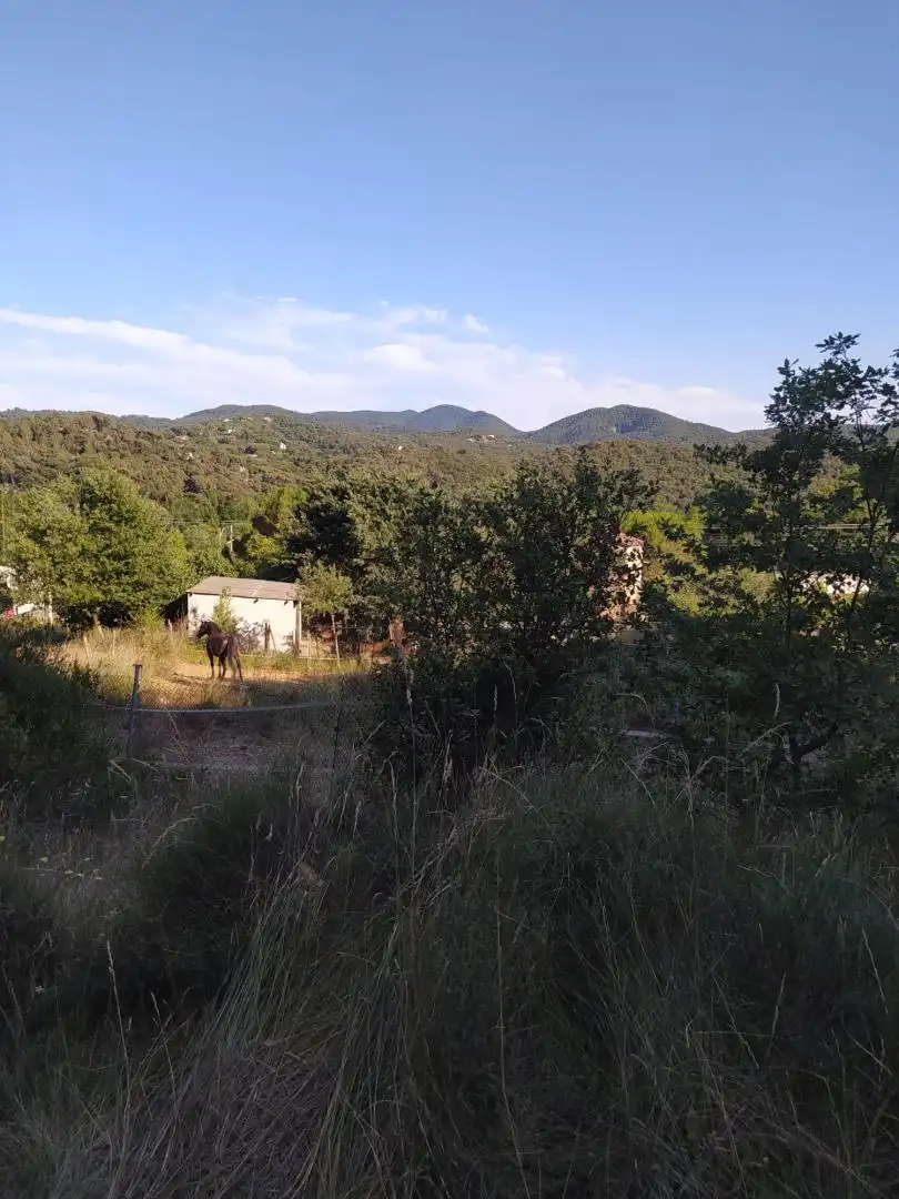 Finca rústica en venta en Riells i Viabrea