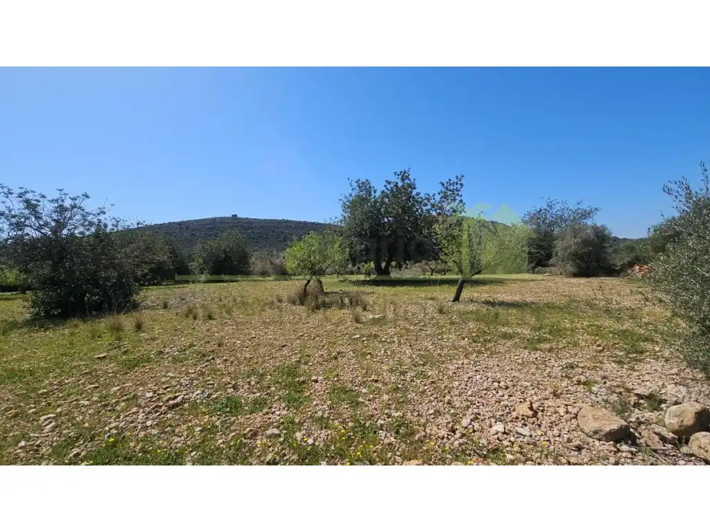 Terreny residencial en venda a Partidas de interior - Zona Rústica, imagen 9