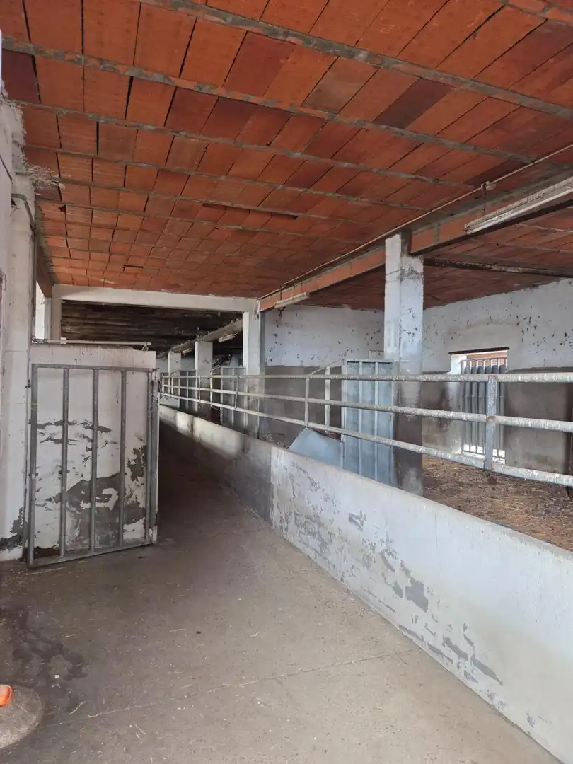 Nau industrial en venda en San Andrés del Rabanedo