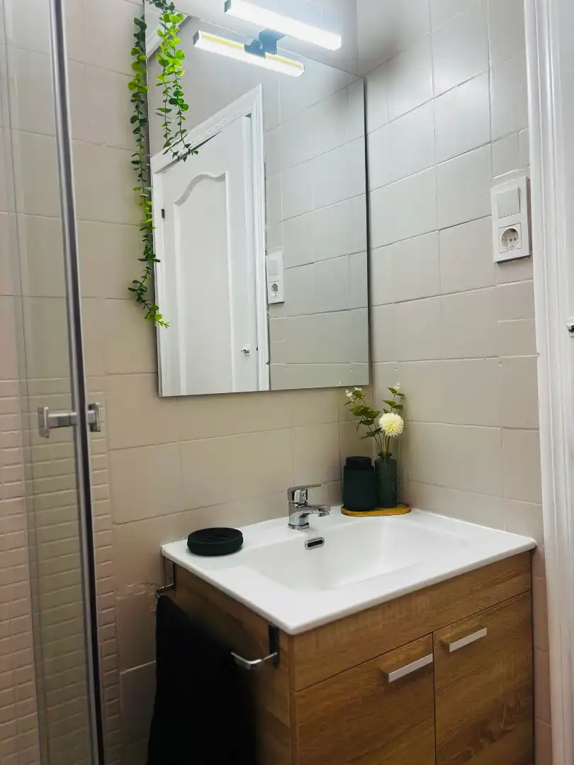 Bathroom of Flat for rent in Alicante / Alacant  with Air Conditioner, Furnished and Oven