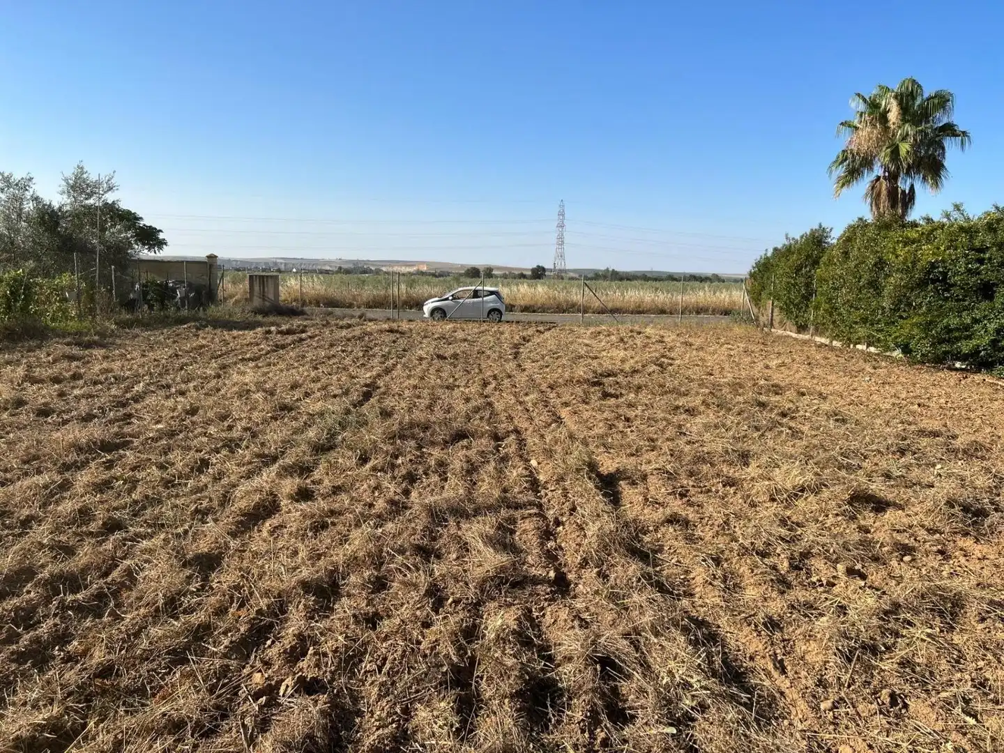 Terreny rústic en venda a Almodóvar del Río, imagen 4