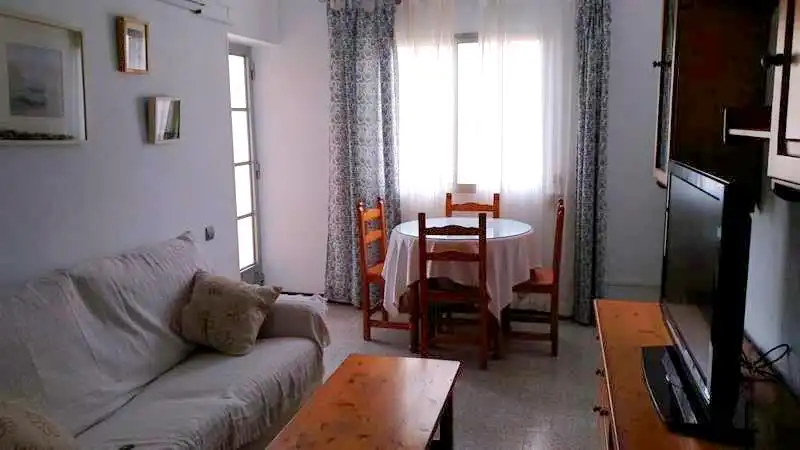 Living room of Flat for rent in Málaga  with Air Conditioner, Heating and Terrace