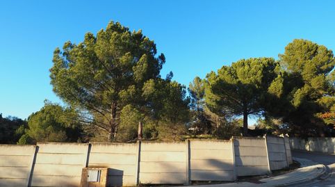 TERRENY EN VENDA A SANT JAUME SES OLIVERES, imatge 5
