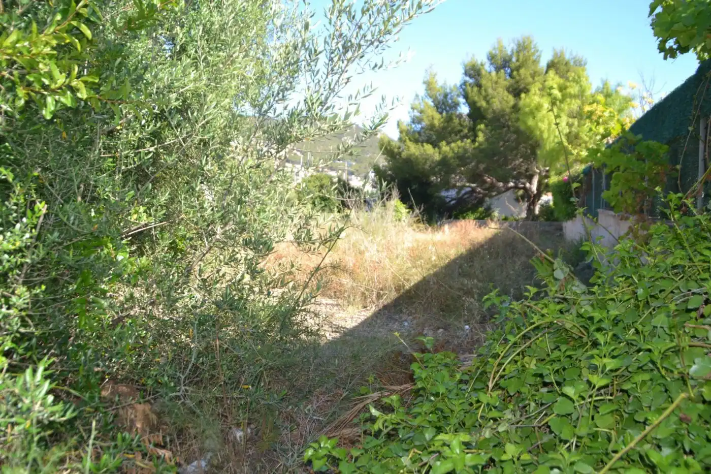 Terreni e lotti in vendita a Port d'Andratx, imagen 11