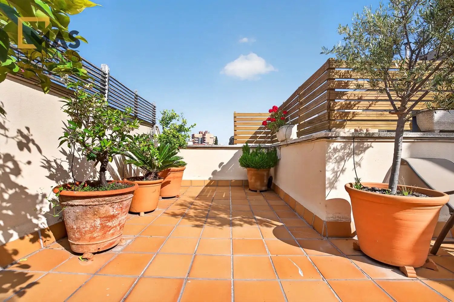 Ático con terraza en venta en Carrer de l'Escola Pia, imagen 16
