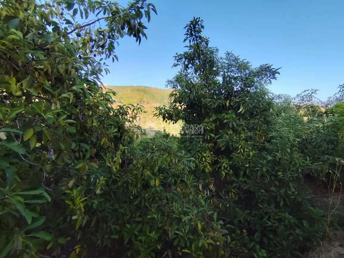 Terreno rustico in vendita a Los Guájares, imagen 11