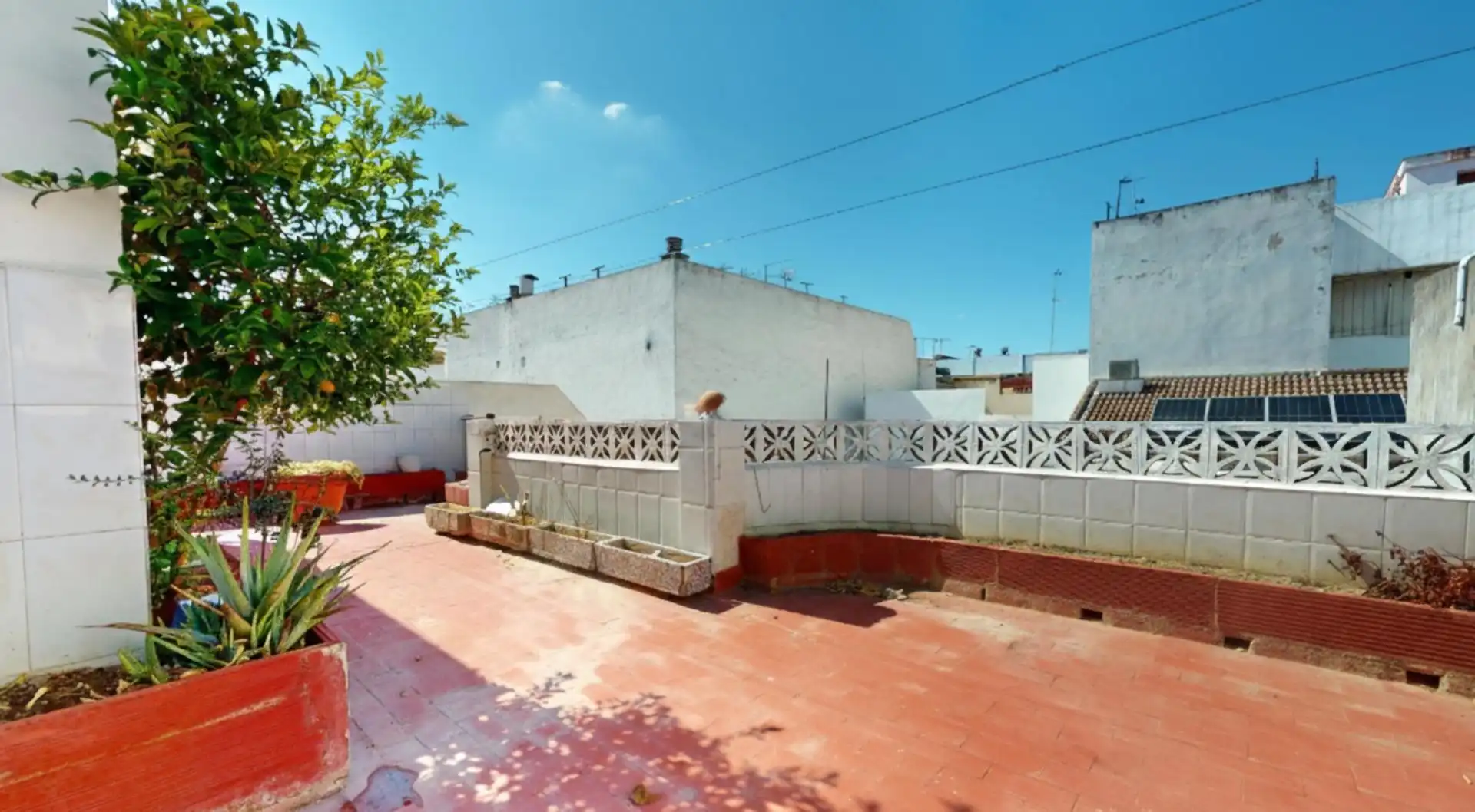 Jardí de Casa o xalet en venda en Córdoba amb Jardí privat, Terrassa i Traster