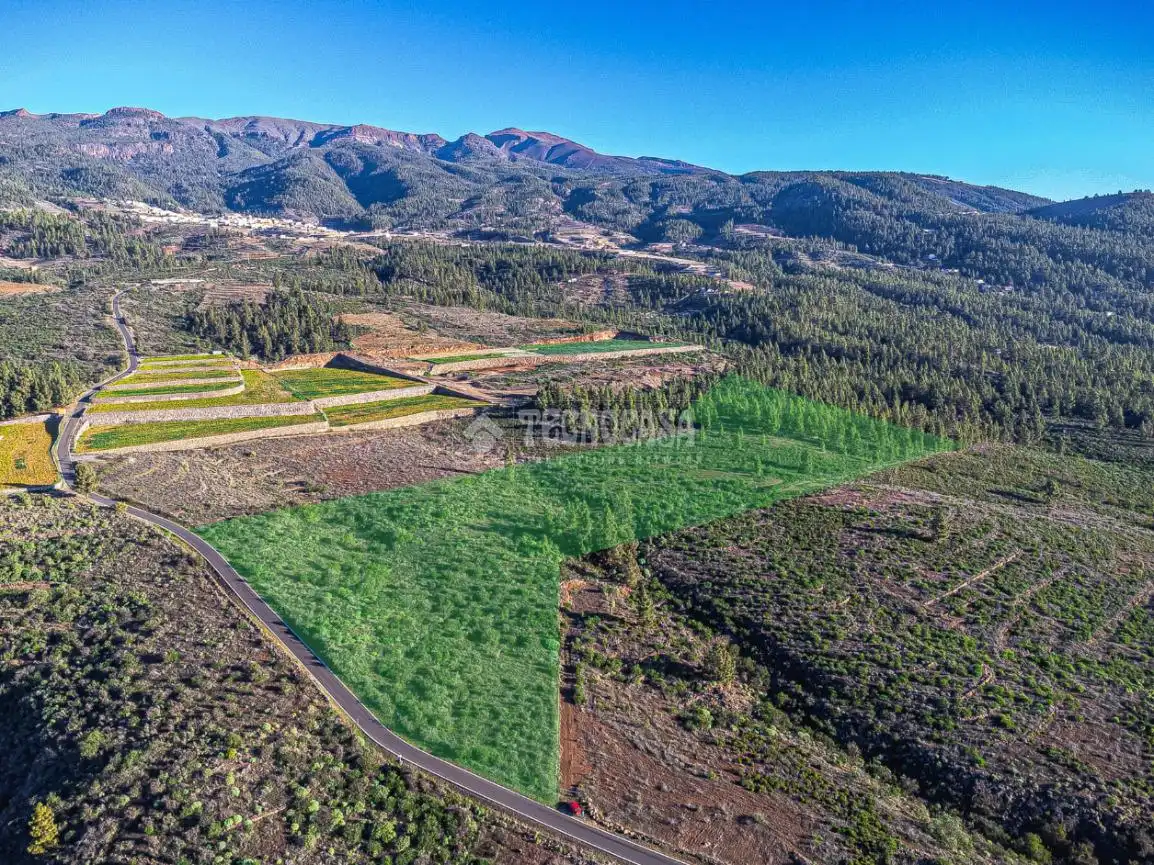 Terreno rústico en venta en Poligono 1, ERA VERDE, VILAFLOR DE CHASNA, imagen 16