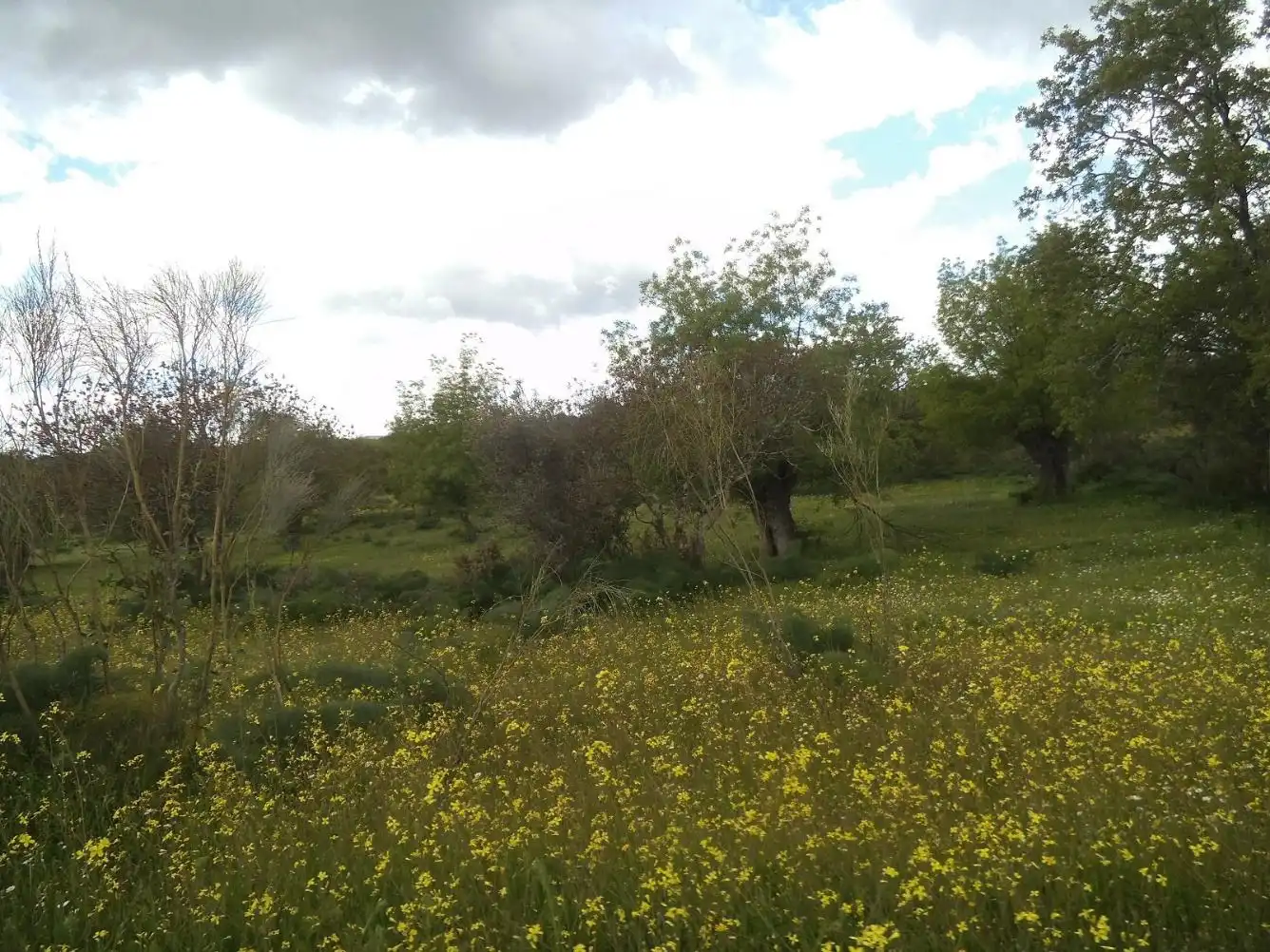 Residencial en venda en Valdemorillo