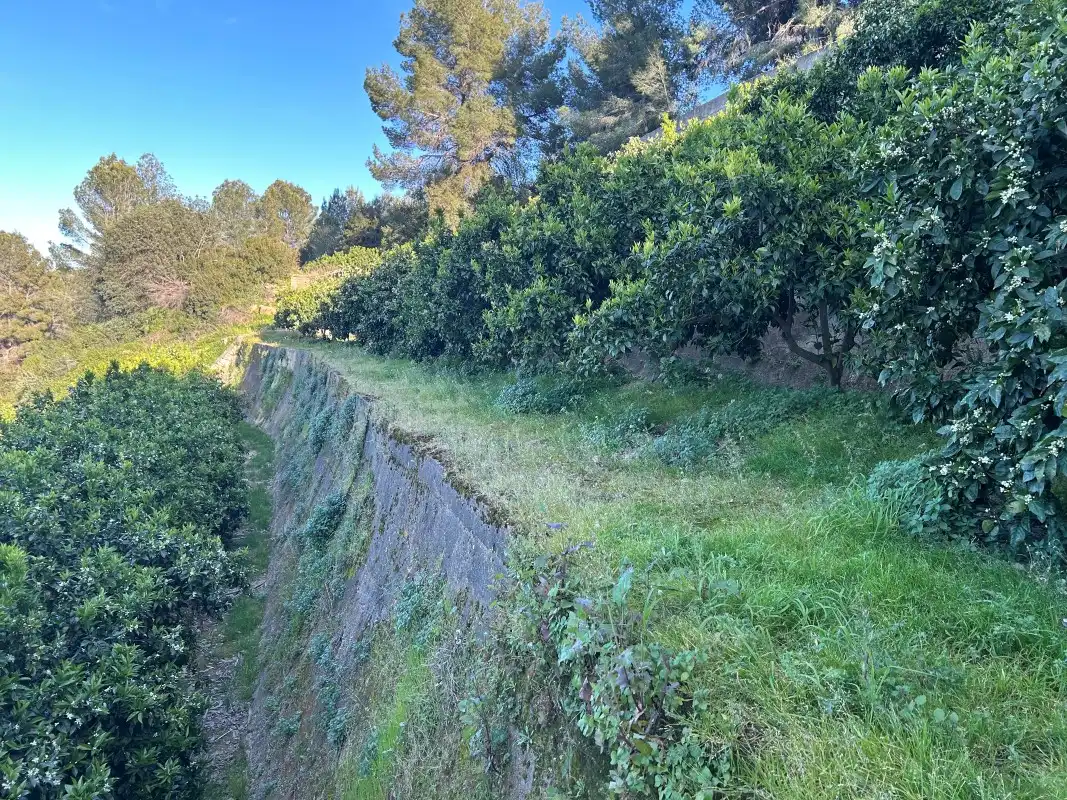 Finca rústica en venda en Oliva amb Moblat