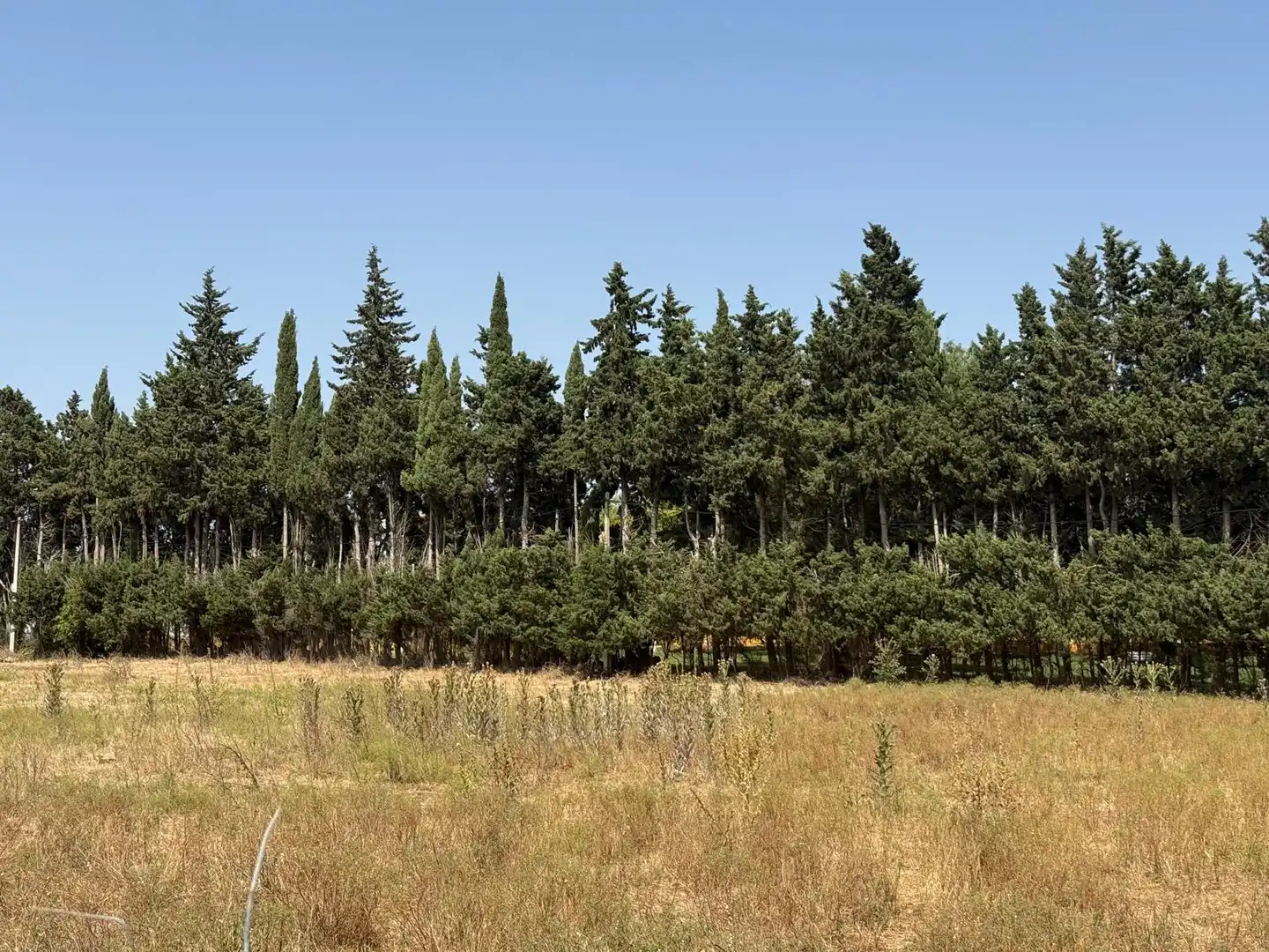Wohnbaugrundstück zum Verkauf in Camino de Montealegre Alto, imagen 4