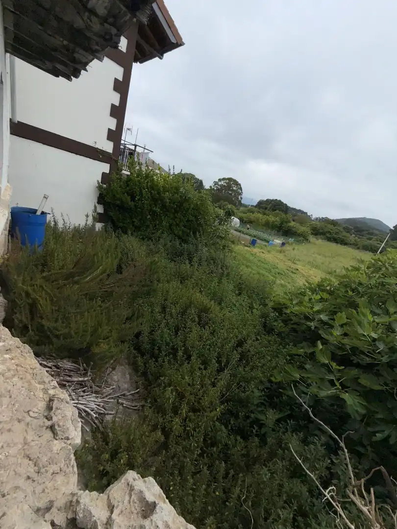 Houses for sale in Argoños 