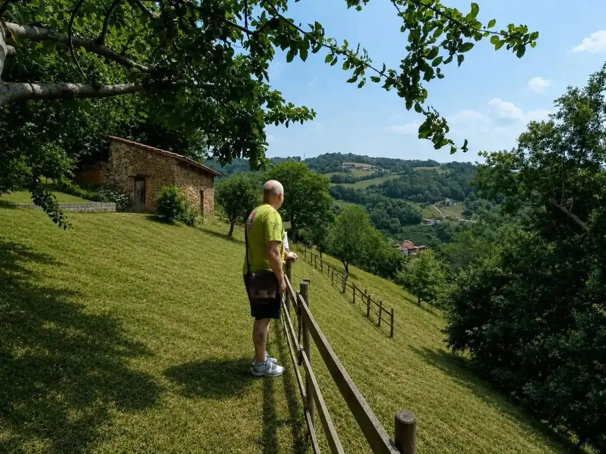 Jardí de Casa o xalet en venda en San Martín del Rey Aurelio amb Terrassa i Balcó