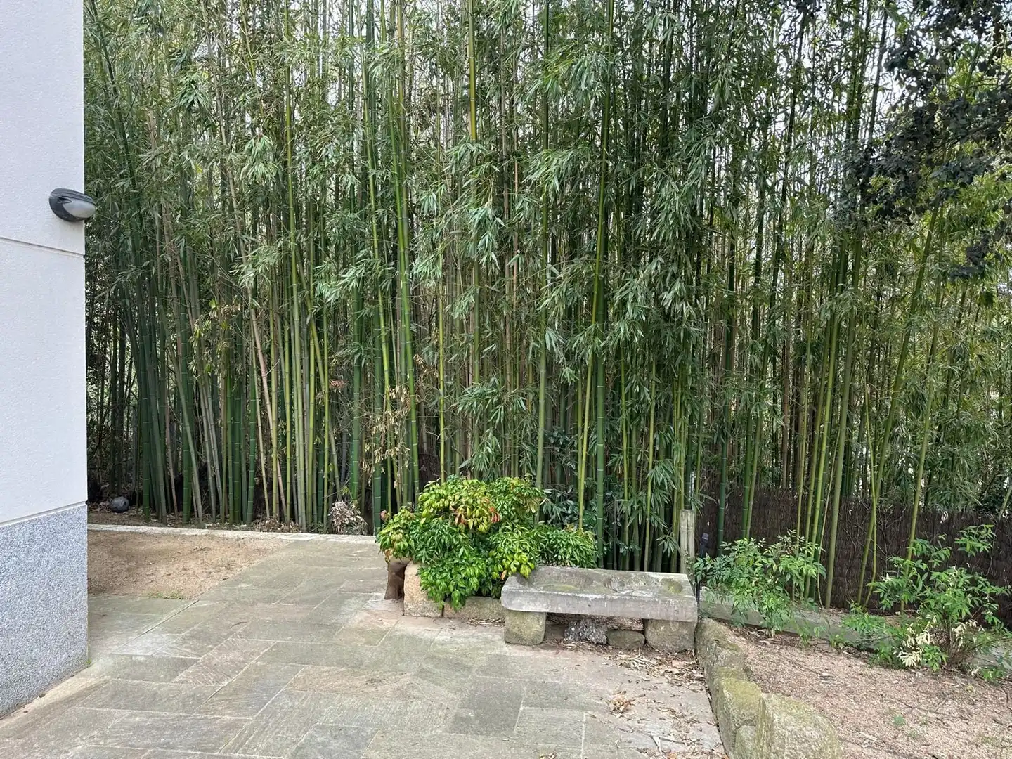 Chalet con piscina en venta en Vallgorguina, imagen 19