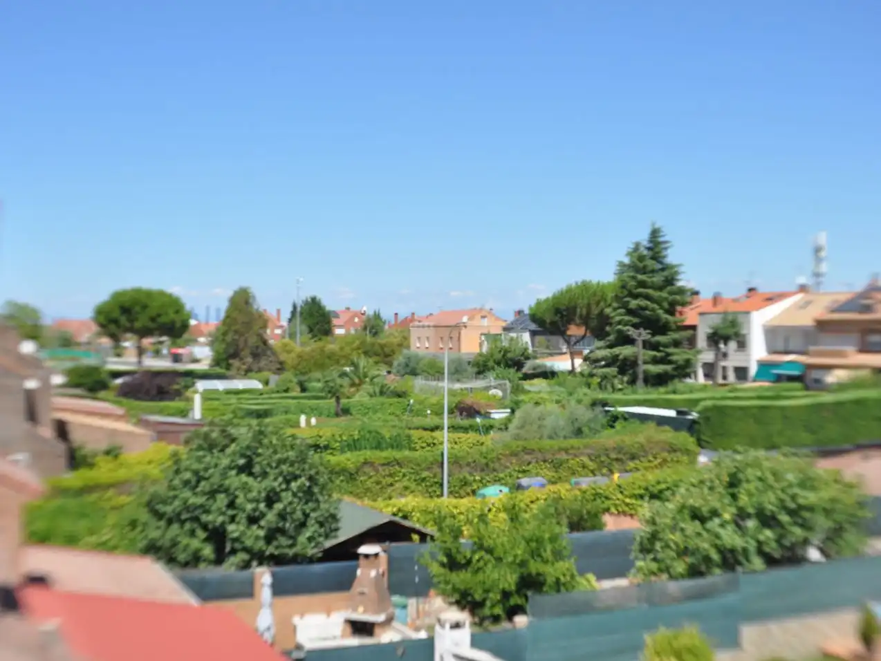 Jardí de Casa o xalet en venda en Coslada