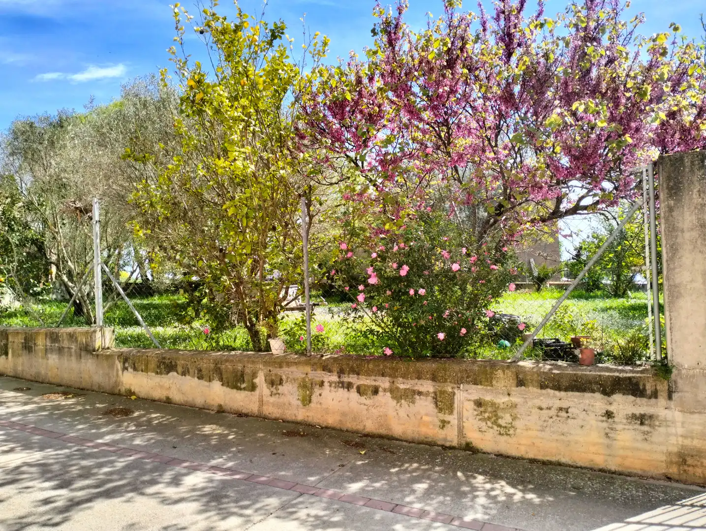 Jardín de Residencial en venta en Vilanant
