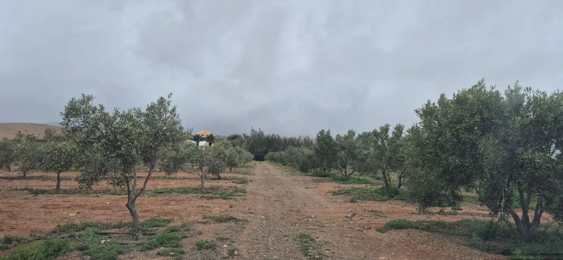 Terreno en venta en Antigua