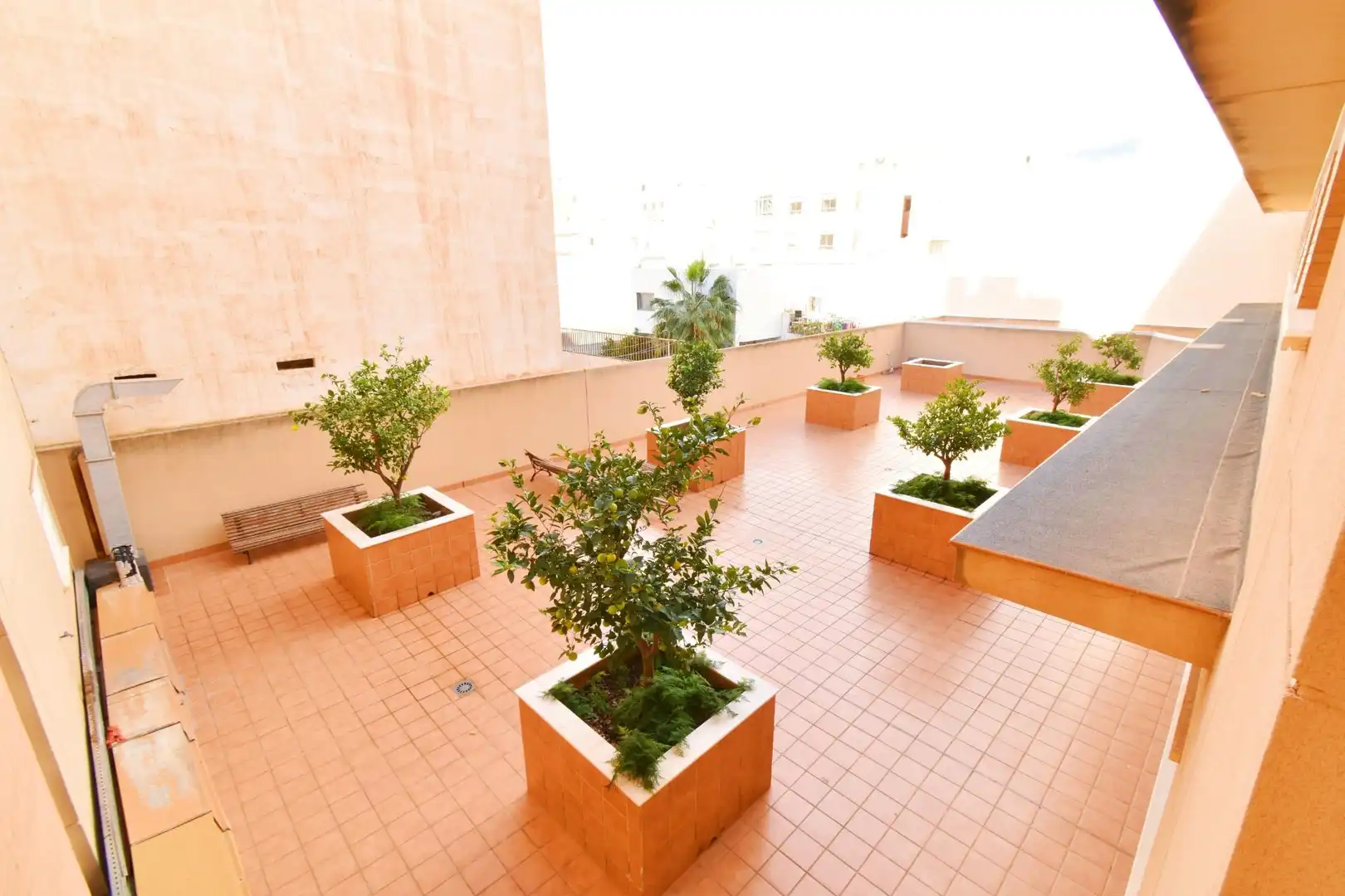 Terraza de Piso en venta en El Ejido