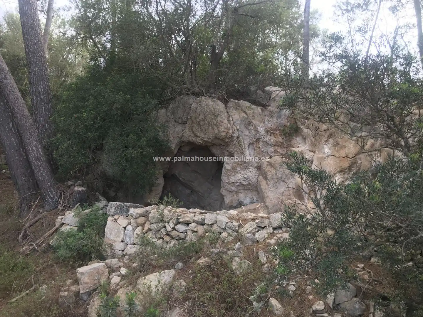 Finca rústica en venta en Maria de la Salut con Calefacción y Terraza