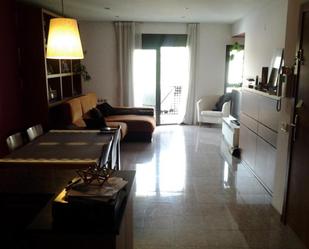 Living room of Duplex for sale in Sant Antoni de Vilamajor