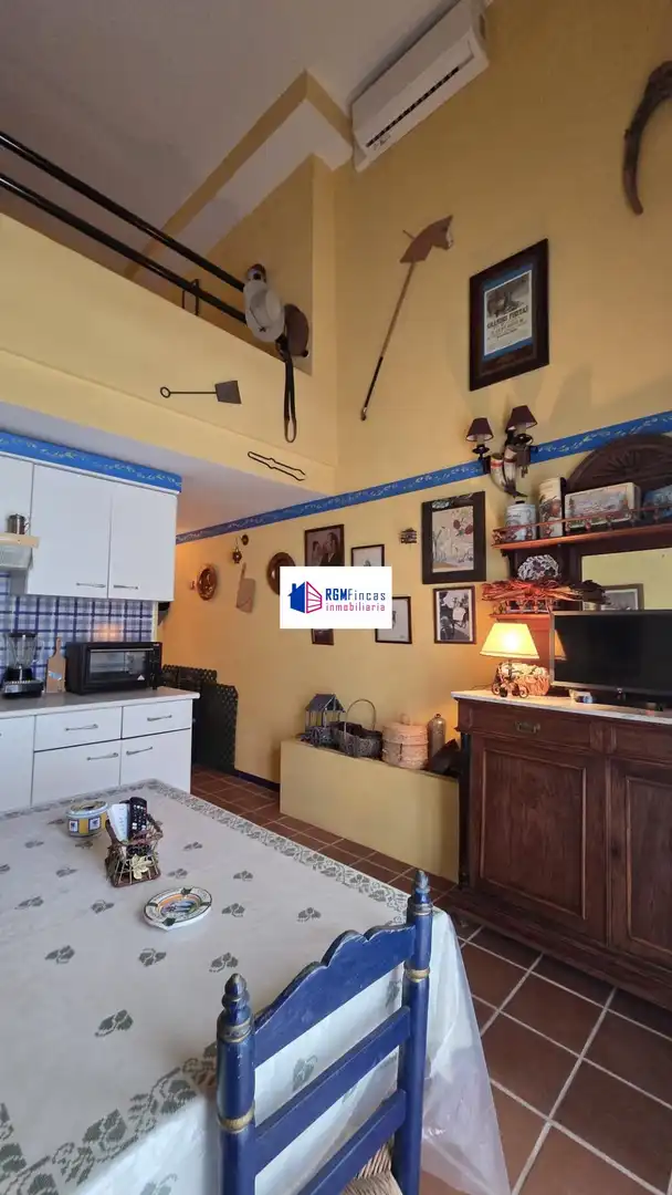 Duplex con terrazza in vendita a El Rocío, imagen 10