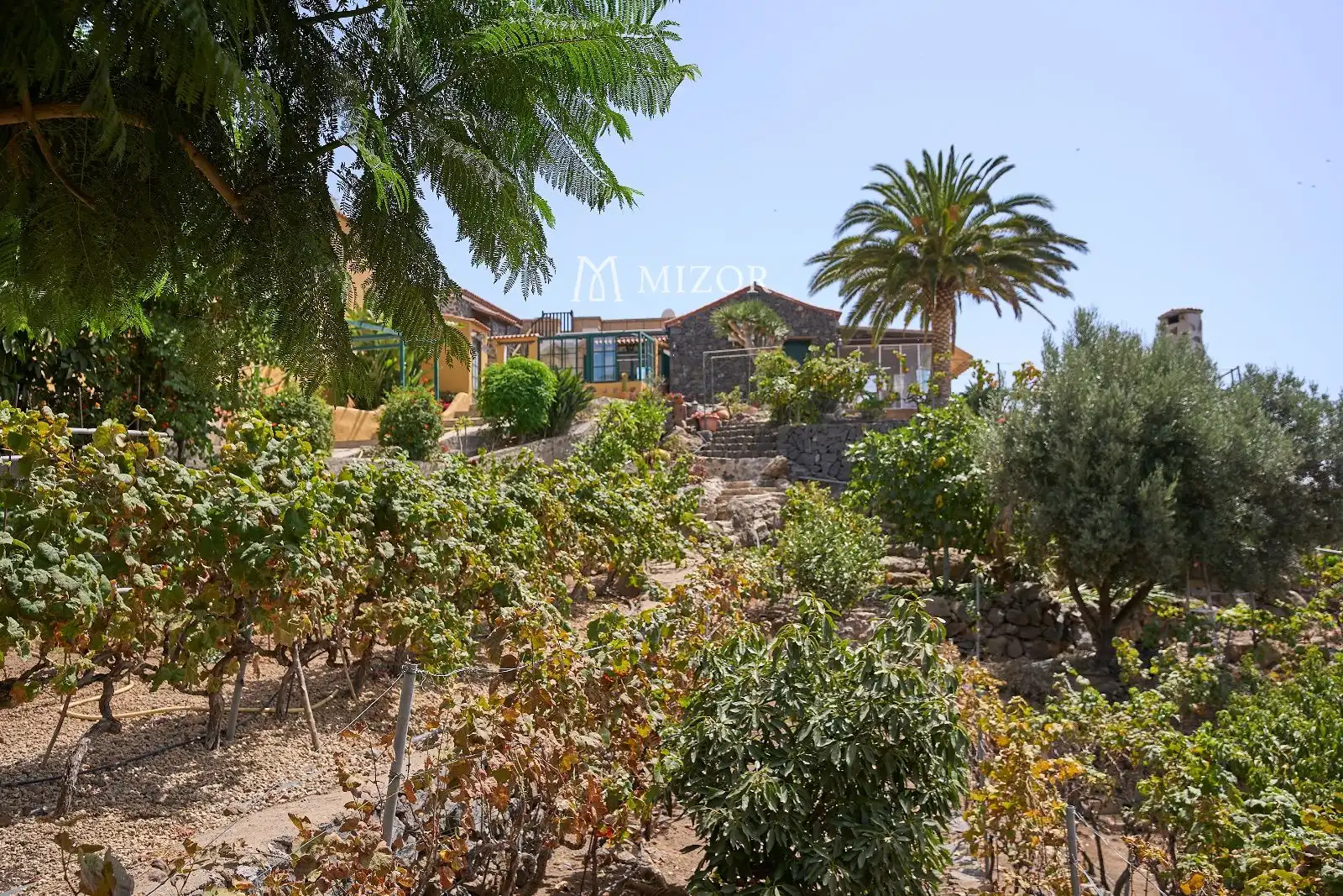 Casa en venta en subida de Vera de Erques