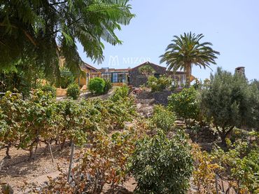 Casa en venda a subida de Vera de Erques