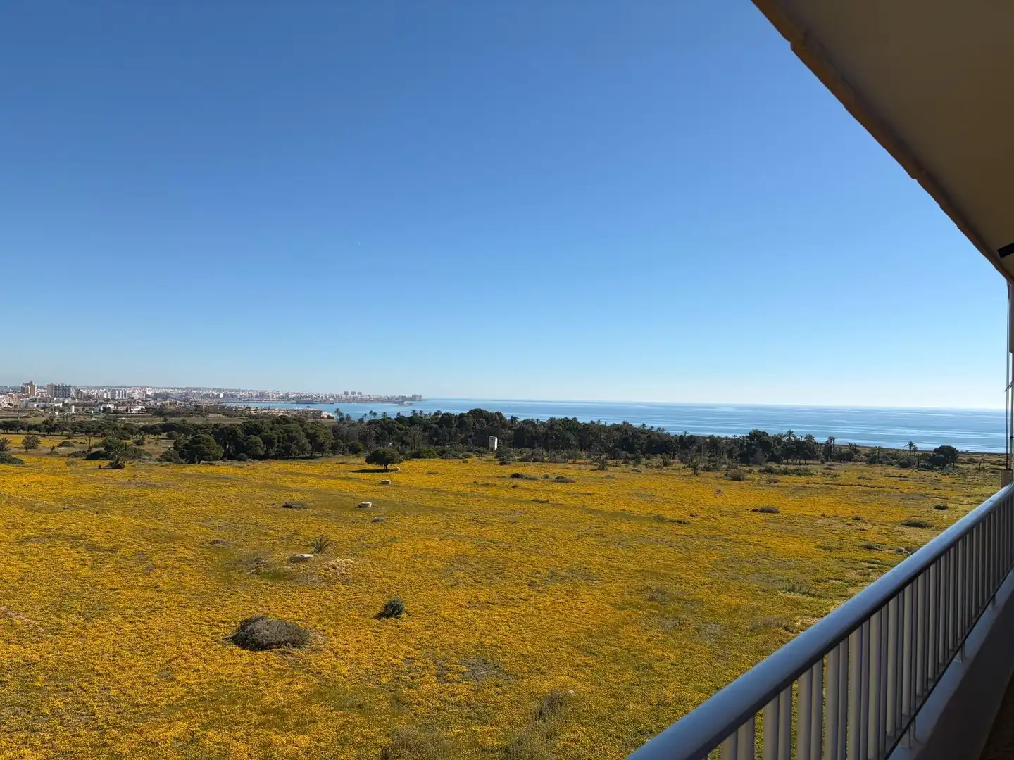 Penthouse with lift for sale in Playa del Acequión, Náufragos y Rocío del Mar