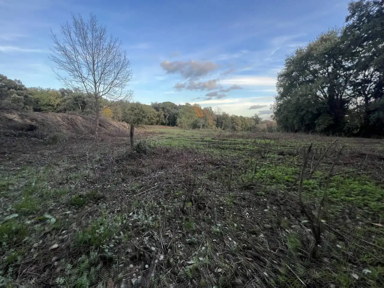 Terreno en venta en Calle GIV-521, 3, Riells i Viabrea