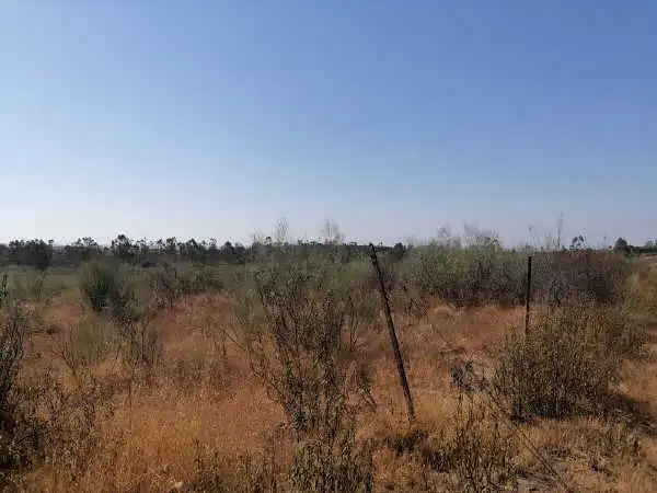 Terreni e lotti in vendita a Paraje el Encinar, imagen 6