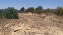 Residencial en venda en Palma del Río