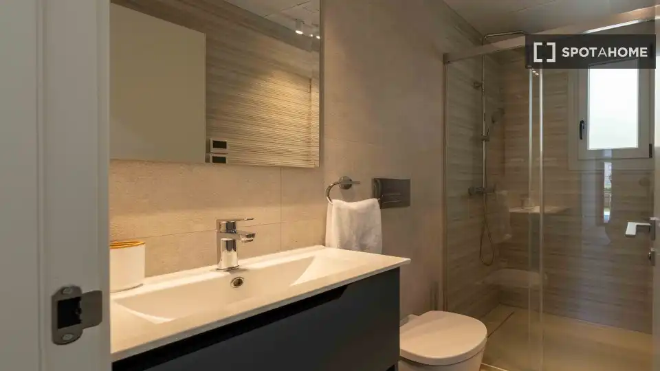 Bany de Apartament per a compartir en Torrevieja amb Aire condicionat, Terrassa i Moblat