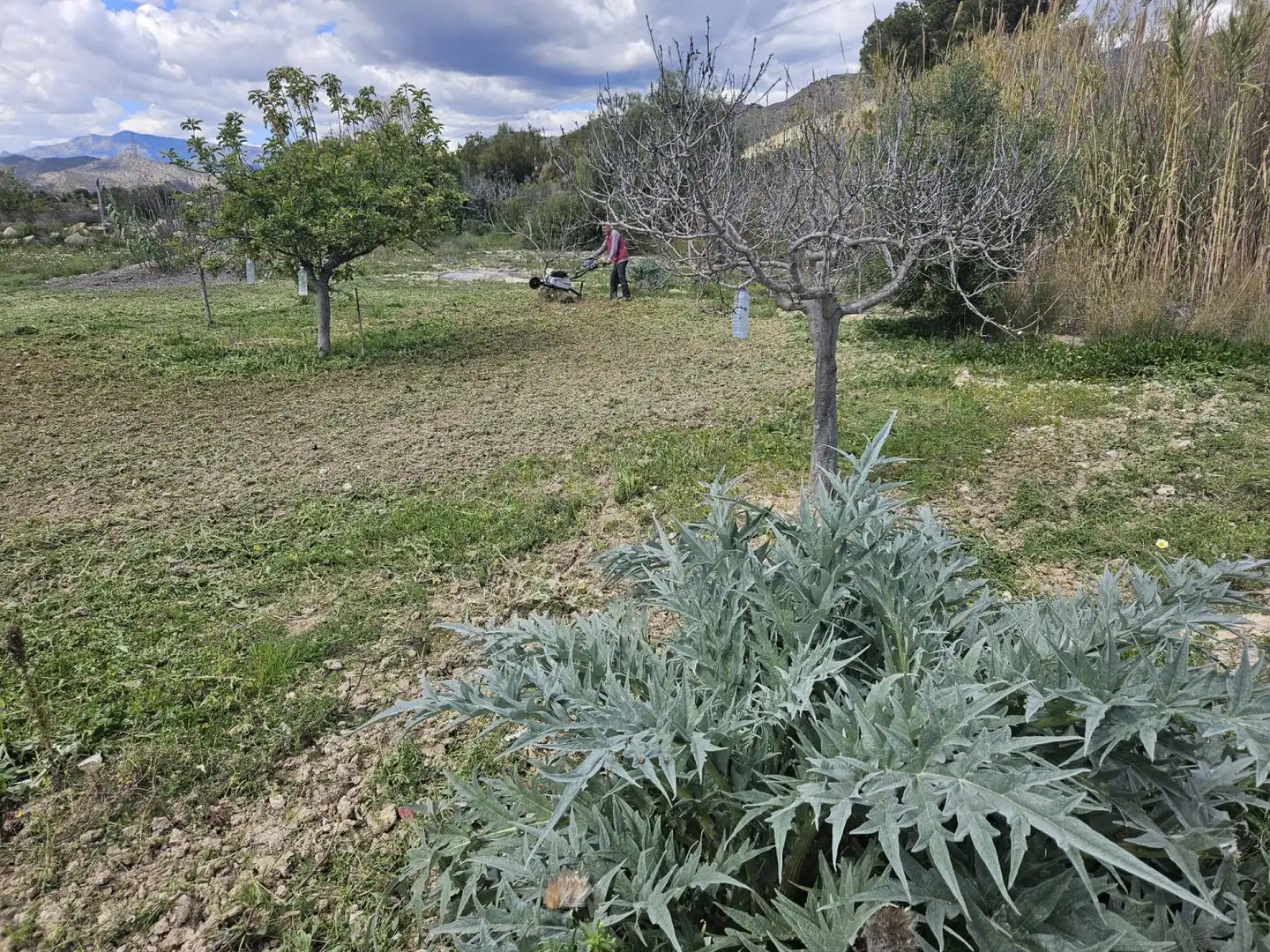 Country house zum Verkauf in Villajoyosa / La Vila Joiosa